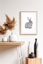 Poster Konijn
