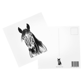 Ansichtkaart Paard
