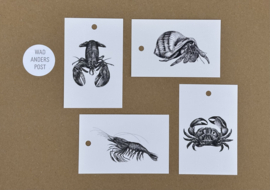 Cadeaulabels set 2  Zeedieren - 4 stuks