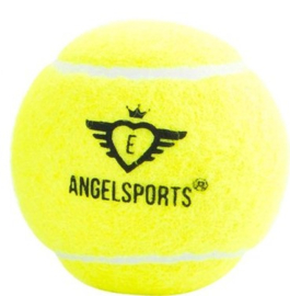 Tennisballen (4 ballen)