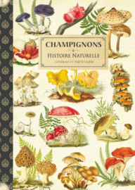 Geïllustreerd Notebook Champignons - Gwenaëlle Trolez Créations