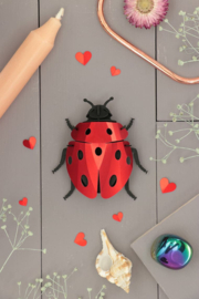 3D Ladybug - Assembli