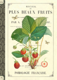 Geïllustreerd Notebook Les Fruits - Gwenaëlle Trolez Créations