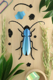 3D Rosalia Beetle azuur blauw - Assembli