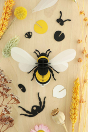 3D Bumble Bee - Assembli