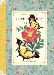 Geïllustreerd Notebook Papillons - Gwenaëlle Trolez Créations