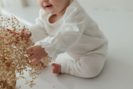 POINTELLE RUFFLE TEE | offwhite