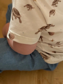 TEE SCHILDPADJES