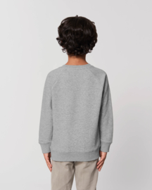 Heather Grey sweater for the little one