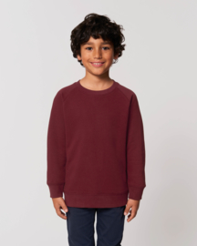 Burgundy sweater for the little one