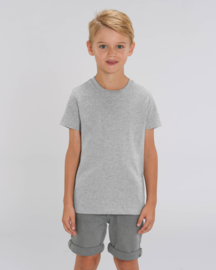 Heather Grey capsule t-shirt