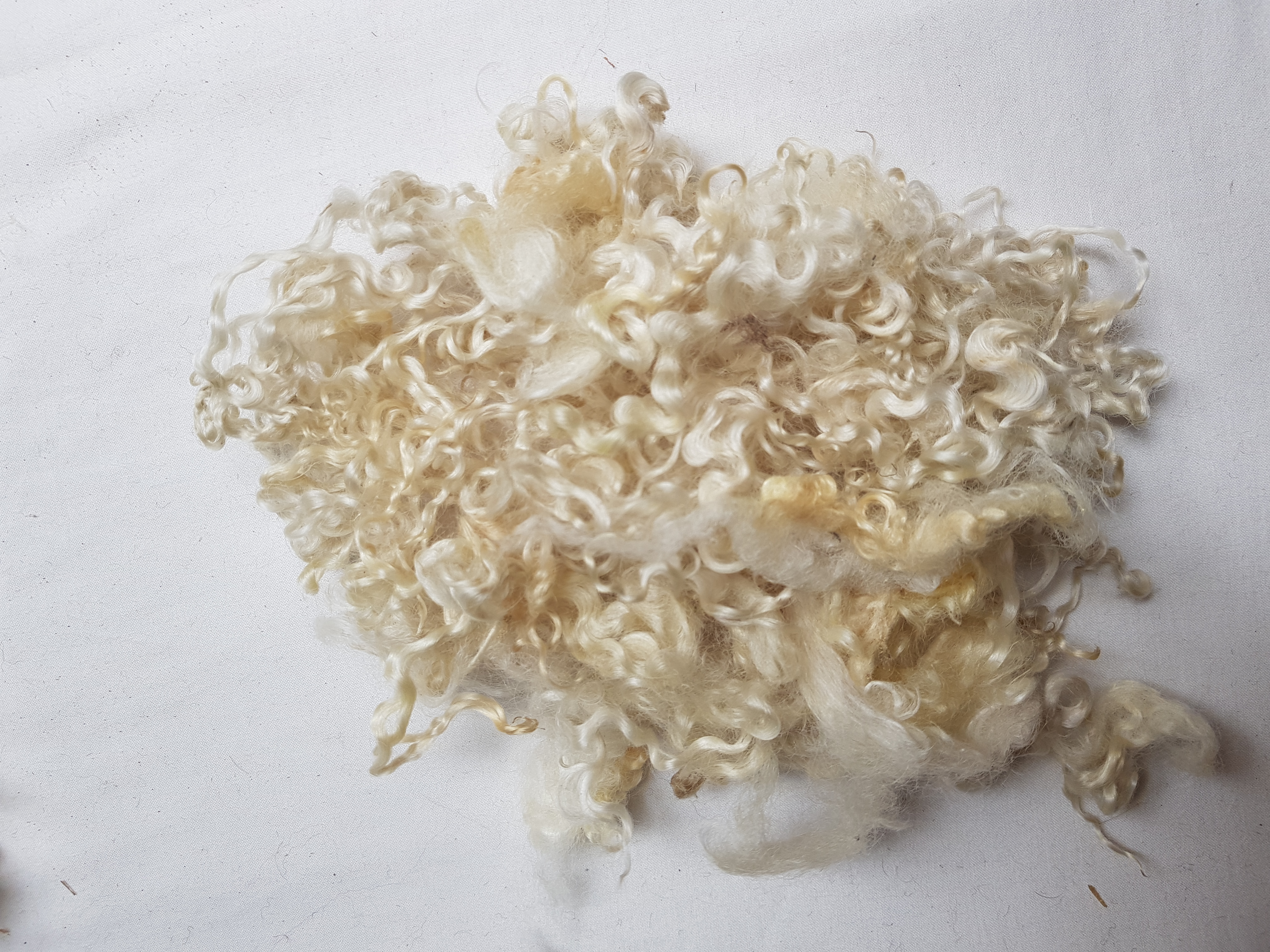 Wensleydale krullen ca 30 g
