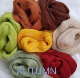 Assorti merino lontwol, AUTUMN LEAF, vanaf