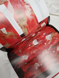THE TEXTILE ARTIST; Felt & Fibre Art