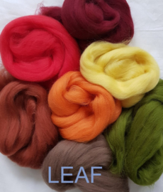 Assorti merino lontwol, AUTUMN LEAF, vanaf
