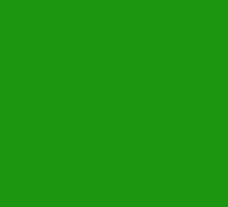 Wolvilt, groen V545