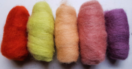 Gekaarde wol assorti vrolijke lente (nr 313)