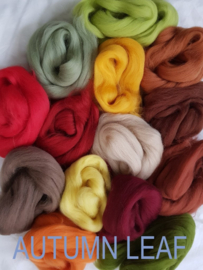 Assorti merino lontwol, AUTUMN LEAF, vanaf