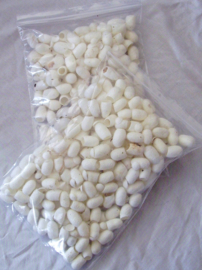 Zijdecocons wit, vanaf 15 gram