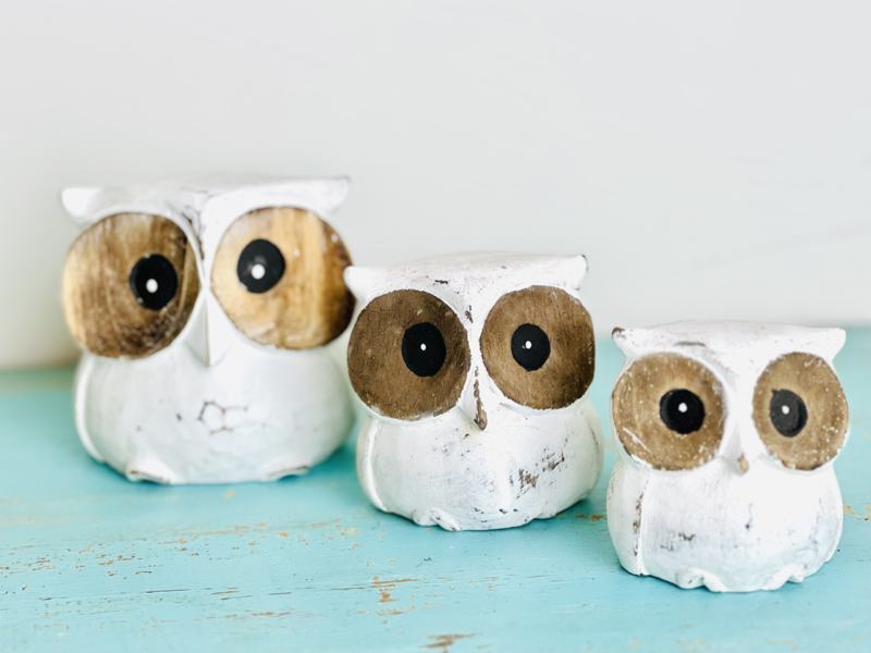 Set van drie houten uilen in kleur wit met bruine ogen