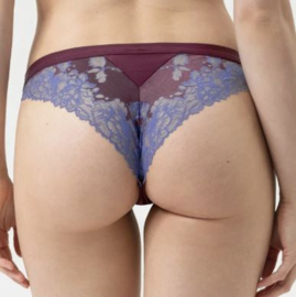 Mey: Poetry Dream - Slip - Bordeau/Blauw