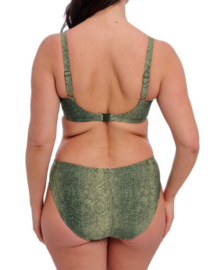 Fantasie: Maya Bay - Bikini - Kaki