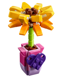 30404 Friendship Flower / Sunflower polybag