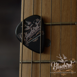 Bluebird Guitar Pick