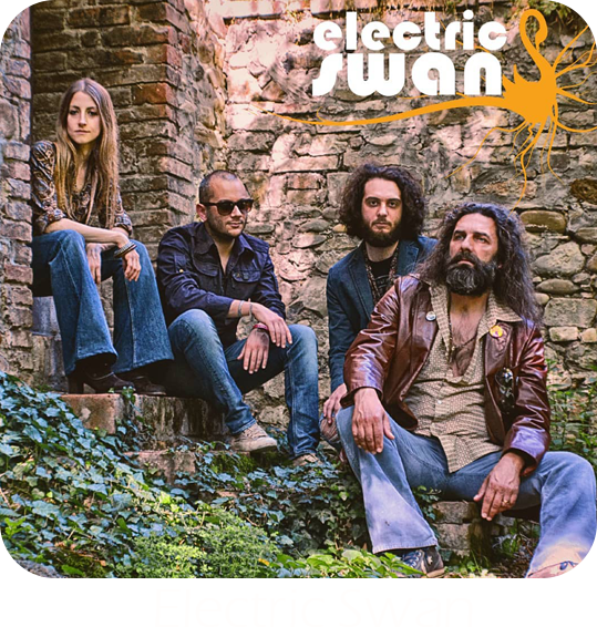 Electric Swan