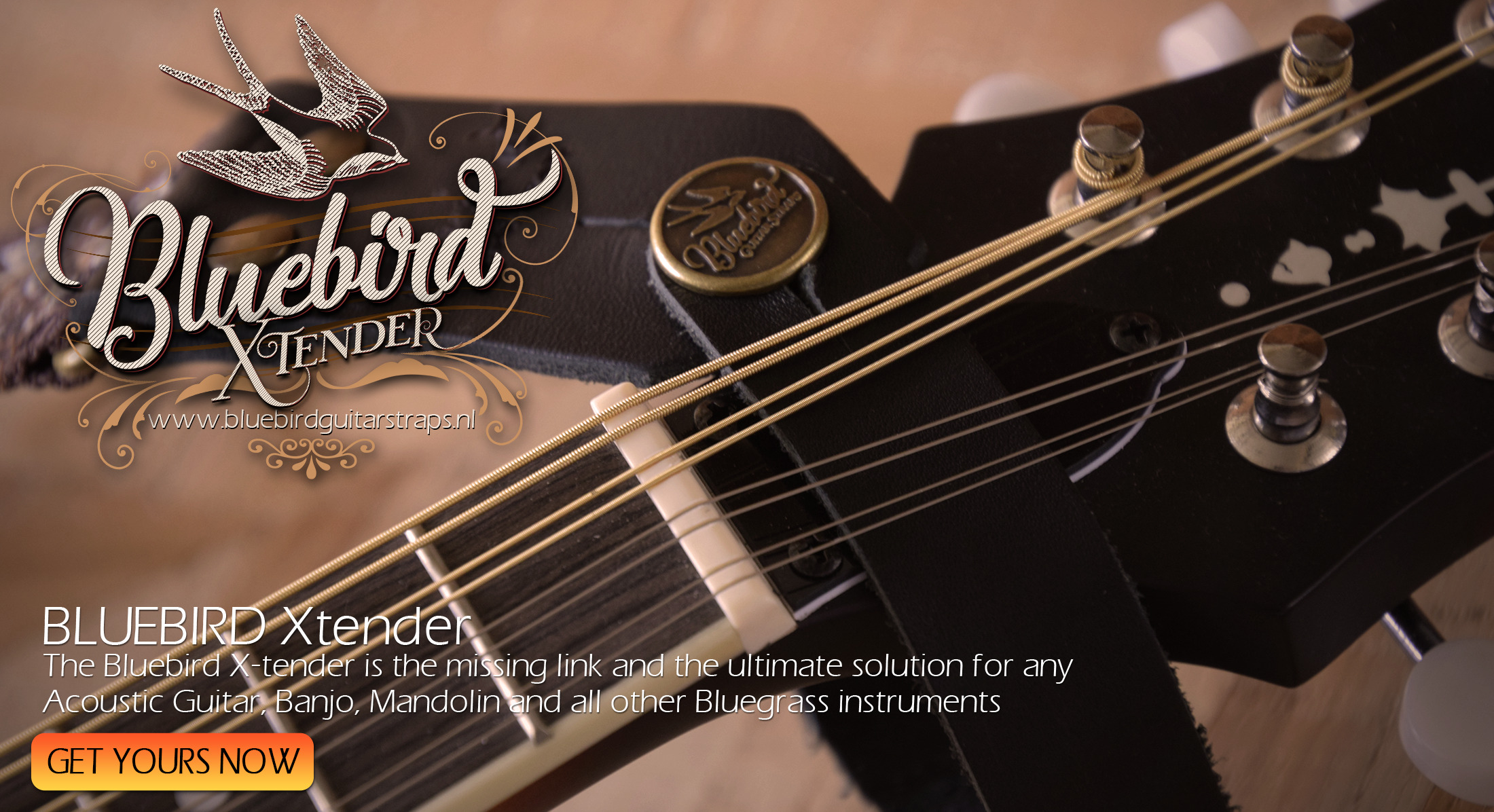 Bluebird Xtender4