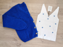 JDYNANNA S/L EMBROIDERY TOP KNT wit/blauwe margriet
