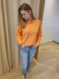 truitje met frulletje oranje