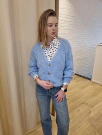 ajour cardigan lichtblauw