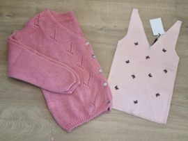 JDYNANNA S/L EMBROIDERY TOP KNT roze/bordeaux vlinders
