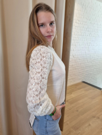 truitje met glanzende mouwen ecru