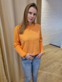 truitje met frulletje oranje