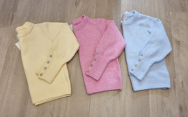 pastel trui met bloemenknopjes lichtblauw