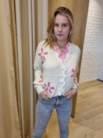 cardigan met V-hals en roze details