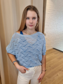truitje met strik lichtblauw