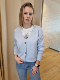 cardigan met hartjes lichtblauw