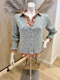 ajour cardigan JDY licht munt