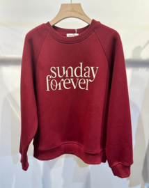 warme sweater Sunday bordeaux