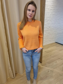 truitje met frulletje oranje