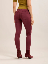 Toxik push up bordeaux L20077-49