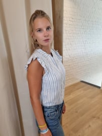 bloesje met fijne lurex en glinsters blauw/wit