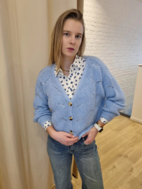 ajour cardigan lichtblauw