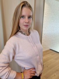lichtroze cardigan JDY