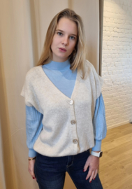 aansluitend truitje met licht glanseffect in de mouwen lichtblauw