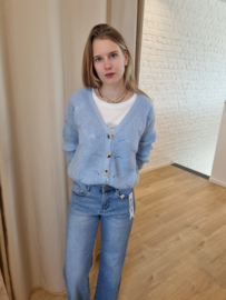 ajour cardigan lichtblauw