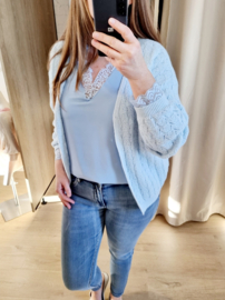 mooie zacht blauwe cardigan met motief